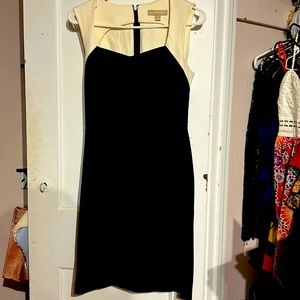 Banana Republic fitted dress - business causal (M)